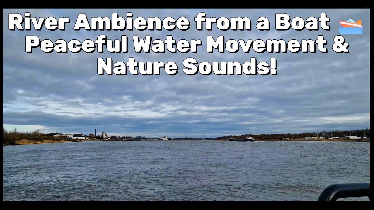 Relaxing River View from a Boat 🚤 | Calm Water Waves & Passing Boats #river #waterambience #asmr