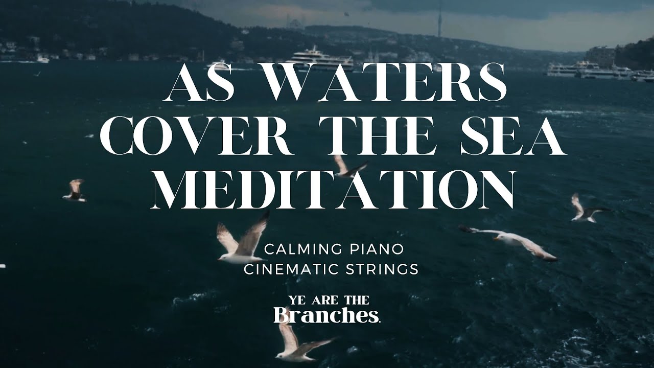 [SLOW DOWN & REST] Calming piano & Cinematic Strings for Study - Relaxation- Meditation