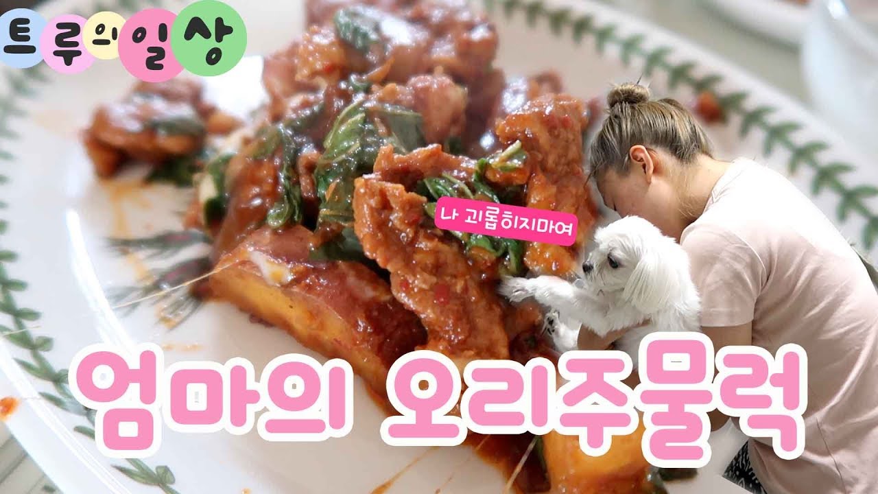 엄마의 오리주물럭ㅣ염색/빨래개고,똥강아지 응꼬 짜주기