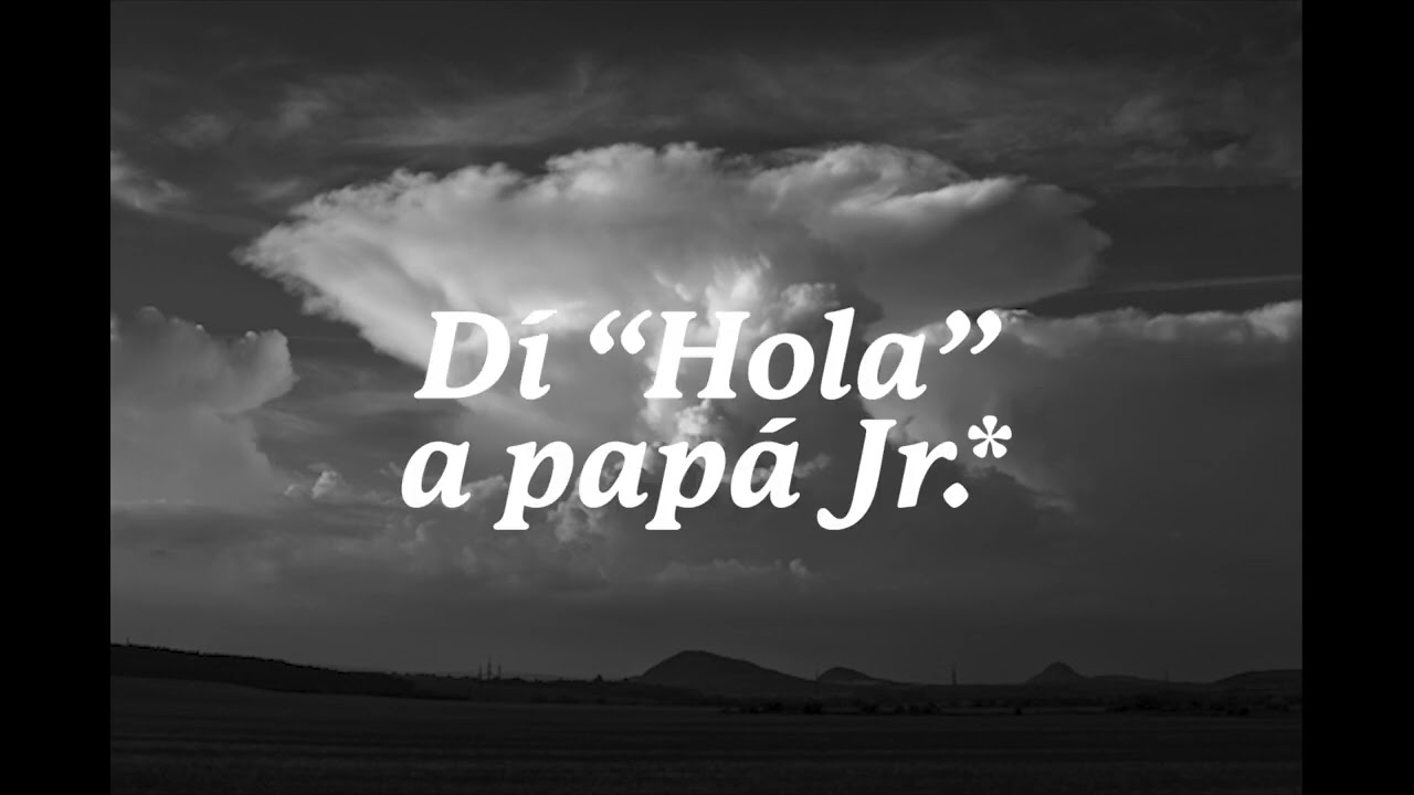 Lou Reed & Metallica - Junior Dad (Sub español)