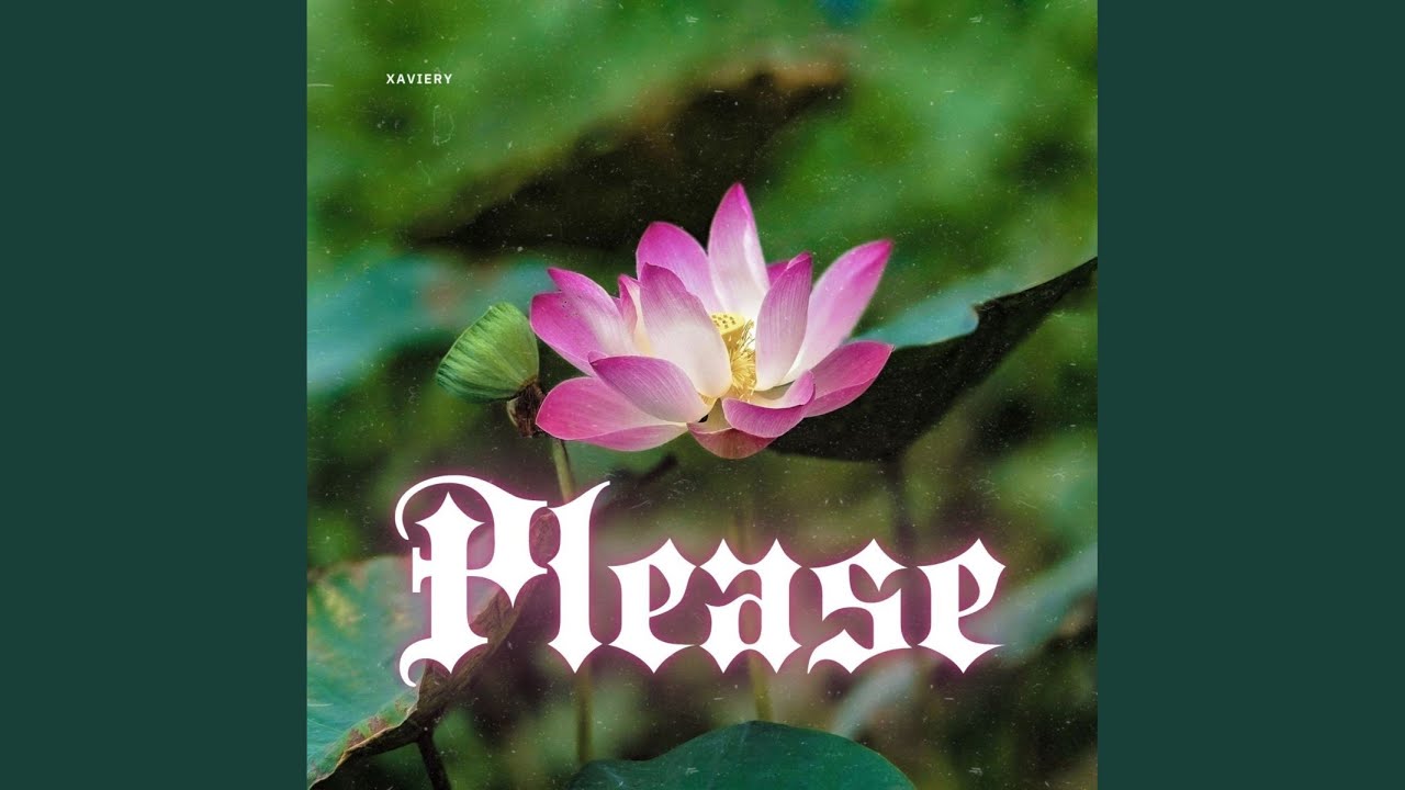 Please (Radio Edit)