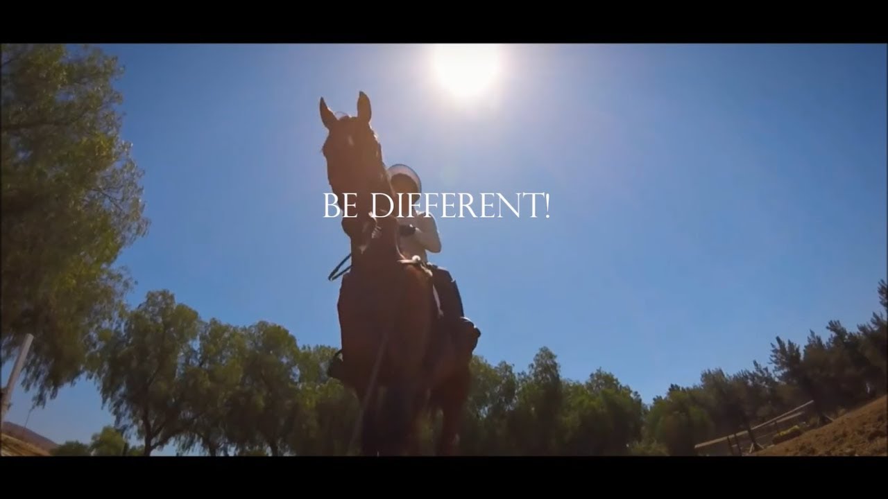 Be Different |Equestrian Motivational video|
