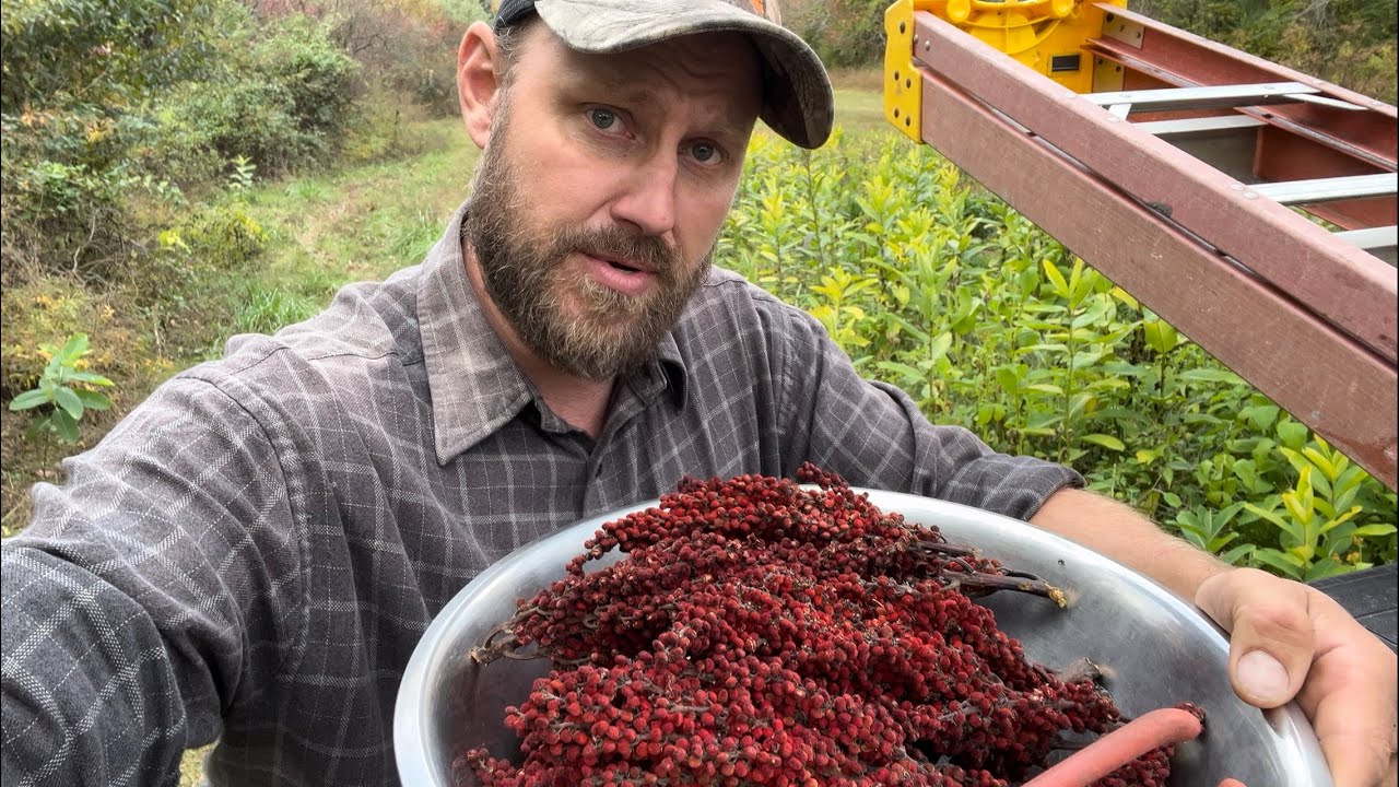 Sumac berry seasoning! (Za’atar!)  ANTI-INFLAMMATORY!