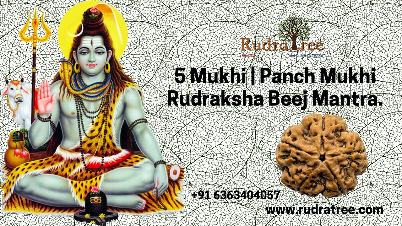 Attain Health & Well-being: 5Mukhi Rudraksha & yellow Sapphire|Om Hreem Namah: https://rudratree.com