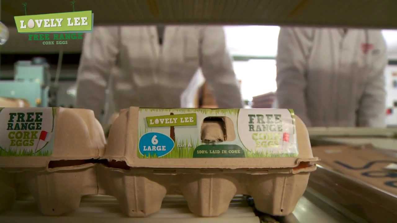 Packing Station Manager - Lovely Lee Free Range Eggs