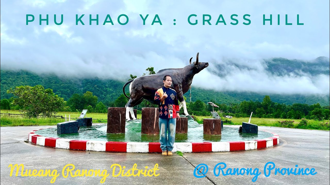 ภูเขาหญ้า (Phu Khao Ya : Grass Hill) หรือเขาหัวล้าน @ อ.เมืองระนอง จ.ระนอง | หลังฝนตกมองเห็นทะเลหมอก