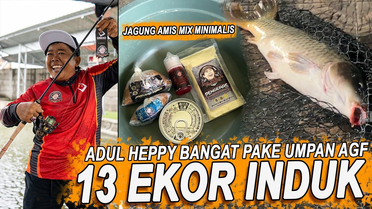13 EKOR INDUK MAKAN !!! JORAN ADUL MELENGKUNG DI TARIK MONSTER MONSTER PENGHUNI KOLAM GALAPUNG
