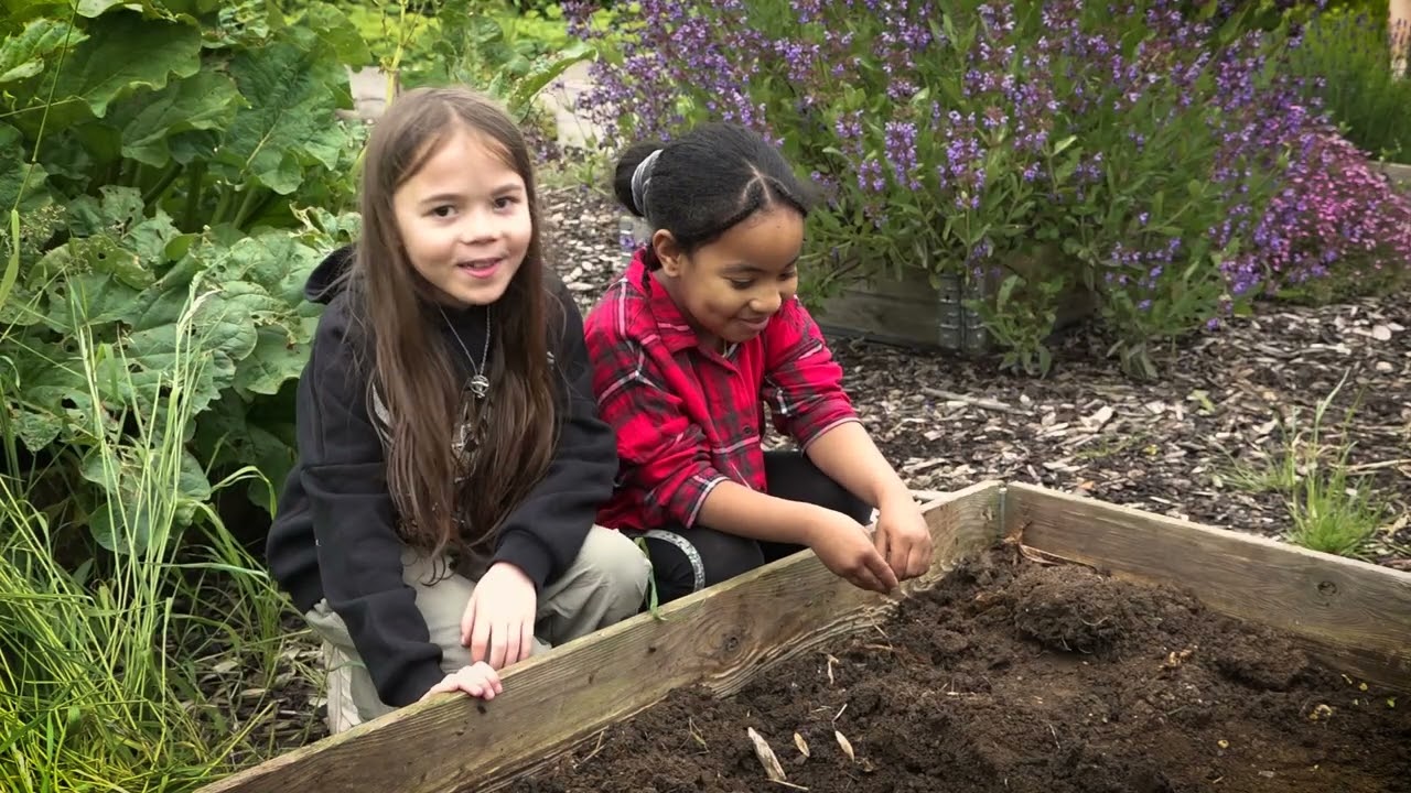Rose Hill activities by Rose Hill Junior Youth Club