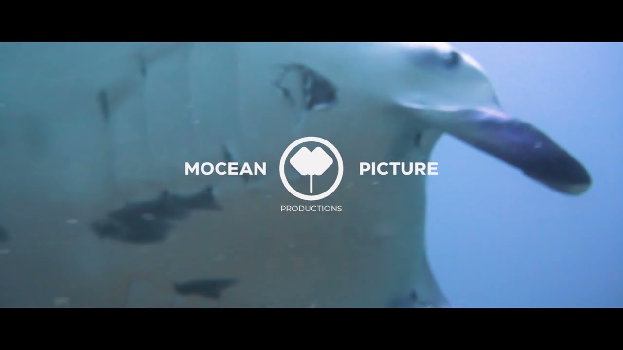 Fiji 2022 Trailer