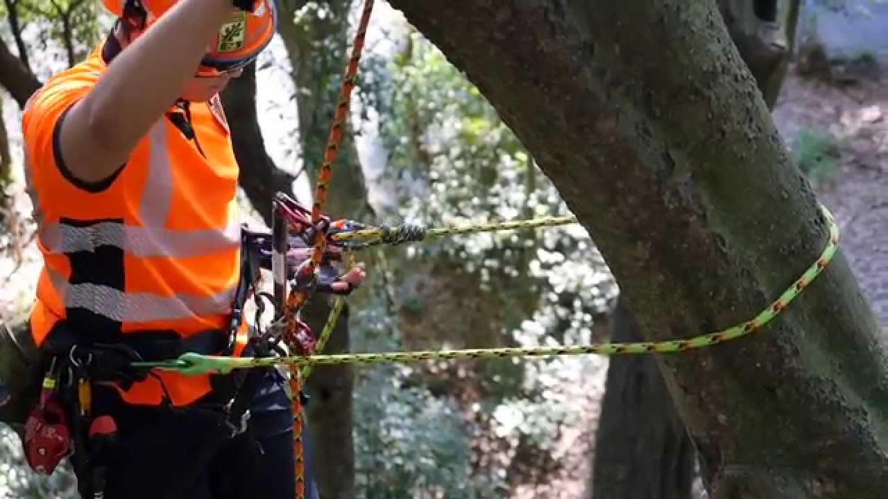 Tree Climbing TREEPRO MEGA LANYARD   ツリープロ　メガランヤード
