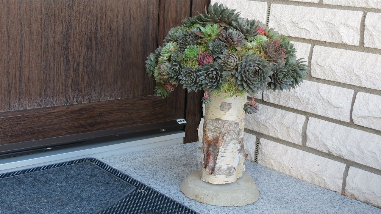 Gartendeko mit Sukkulenten selber machen.Pilz aus Sukkulenten