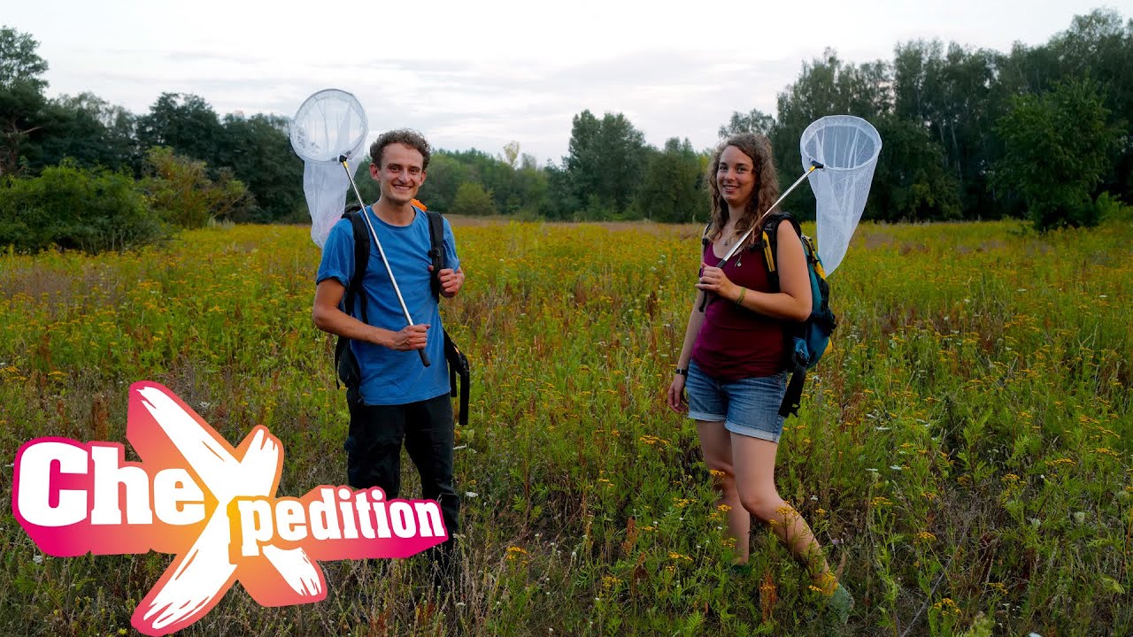 Artenvielfalt in Gefahr! | Eine CheXpedition mit Checker Julian | BR