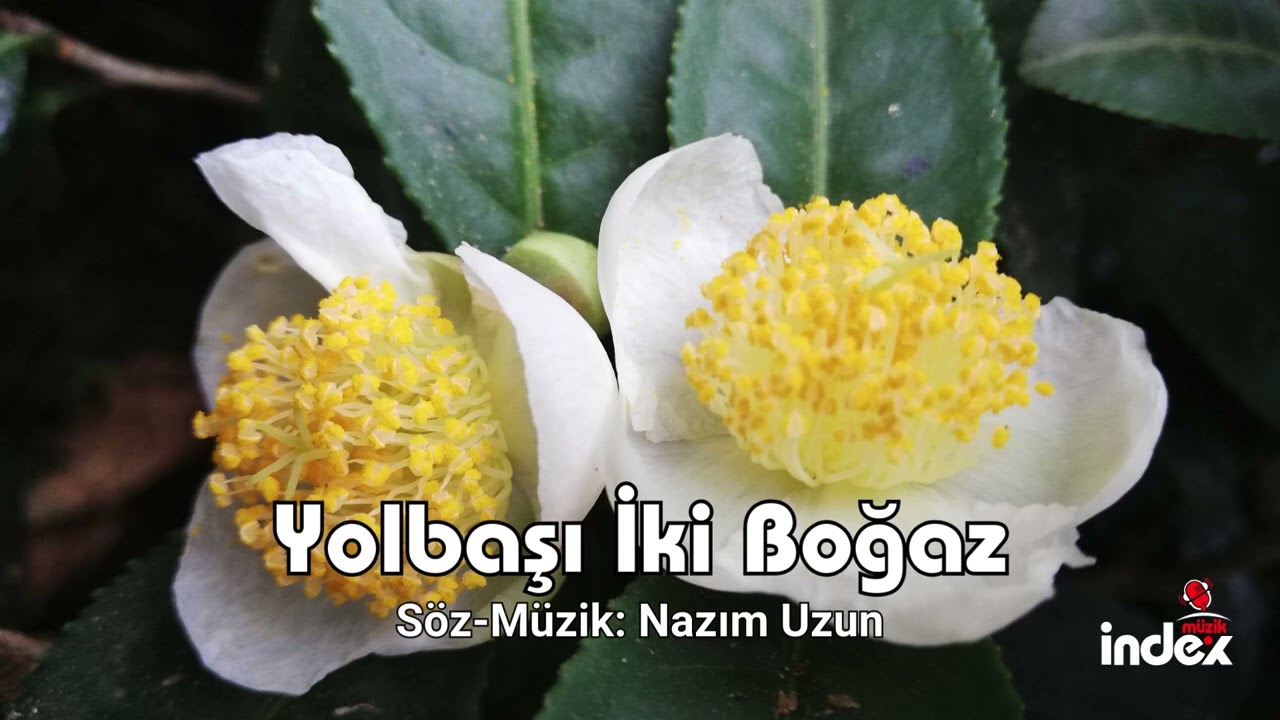Yolbaşı İki Boğaz