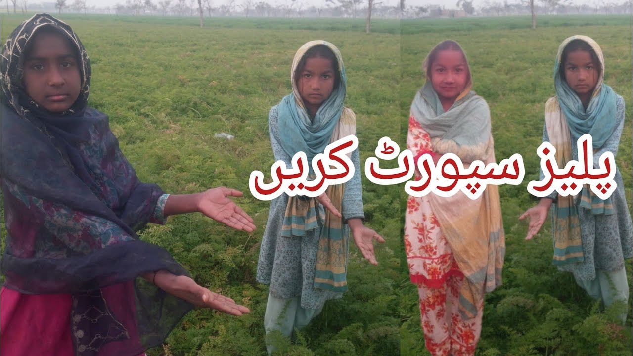 پنجابی زبان پلیز سپورٹ کریں