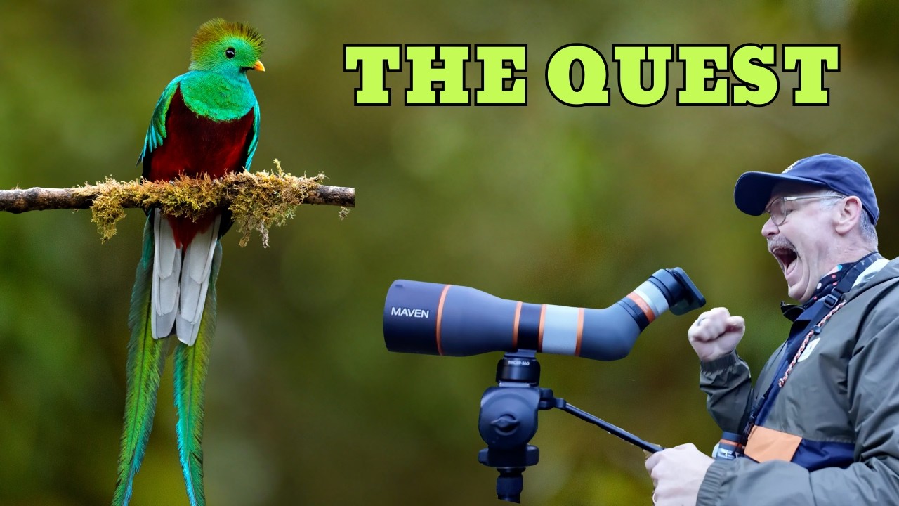 My Quest for the Quetzal | Birding Costa Rica