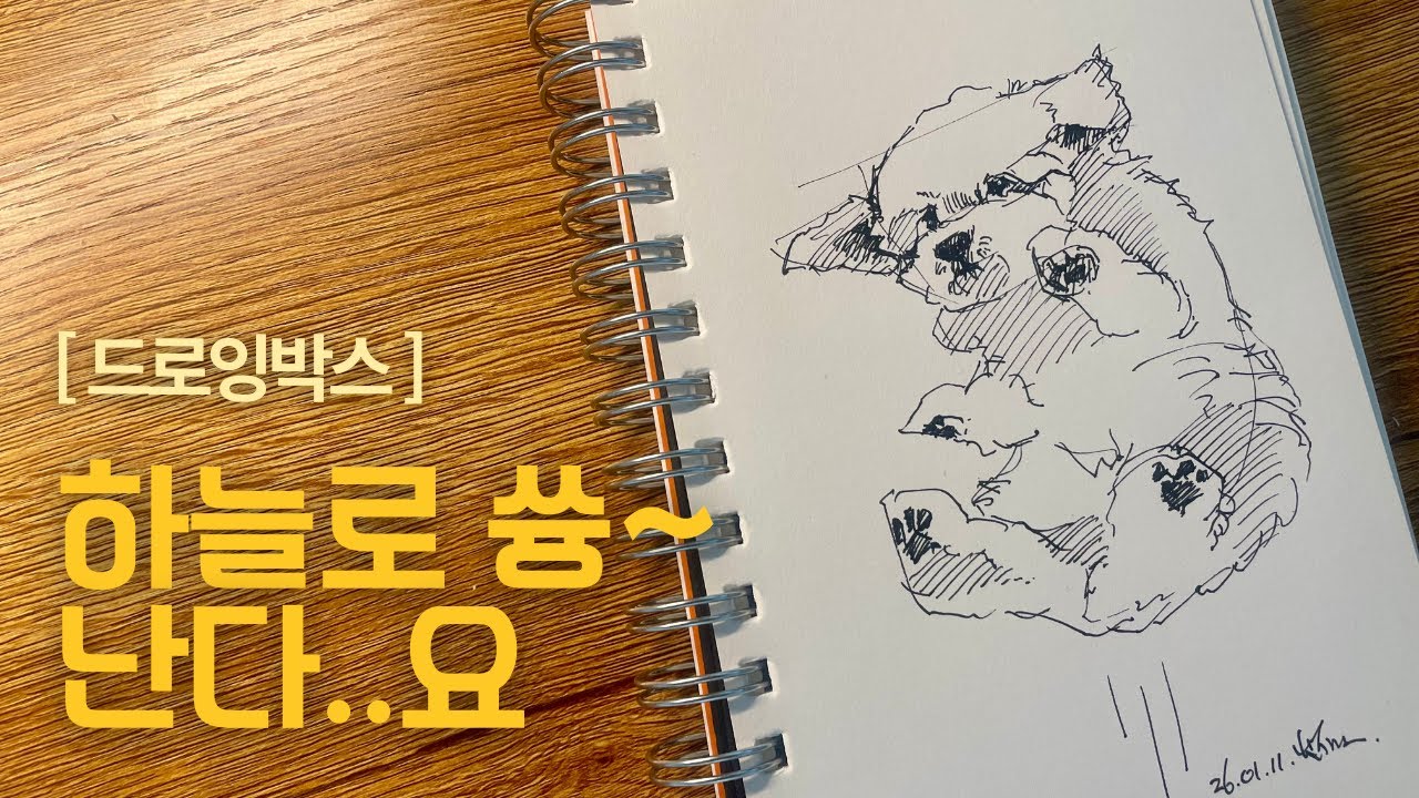 둥기둥기 쓩~! [드로잉박스]