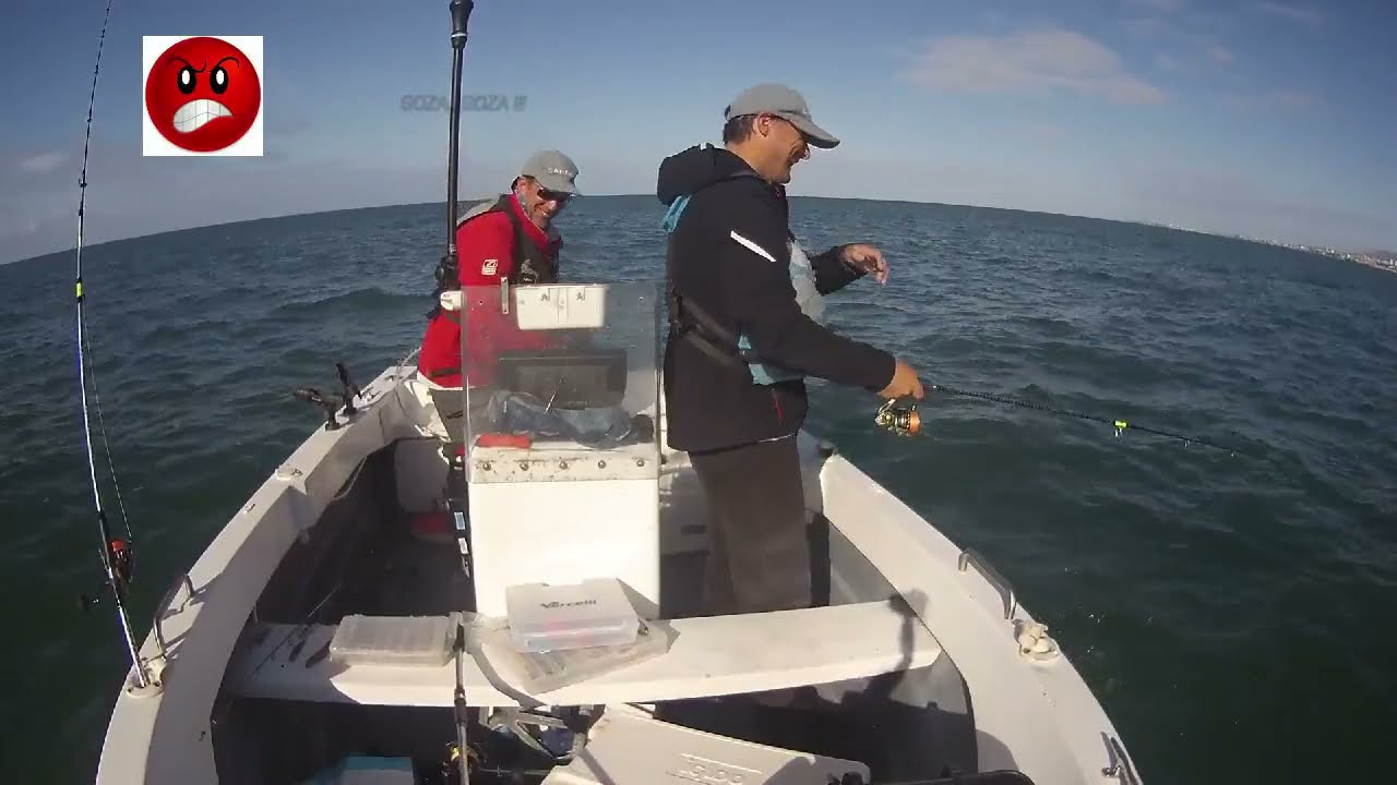 PESCA EMBARCADA BAILAS E ROBALOS - TEJO 2021