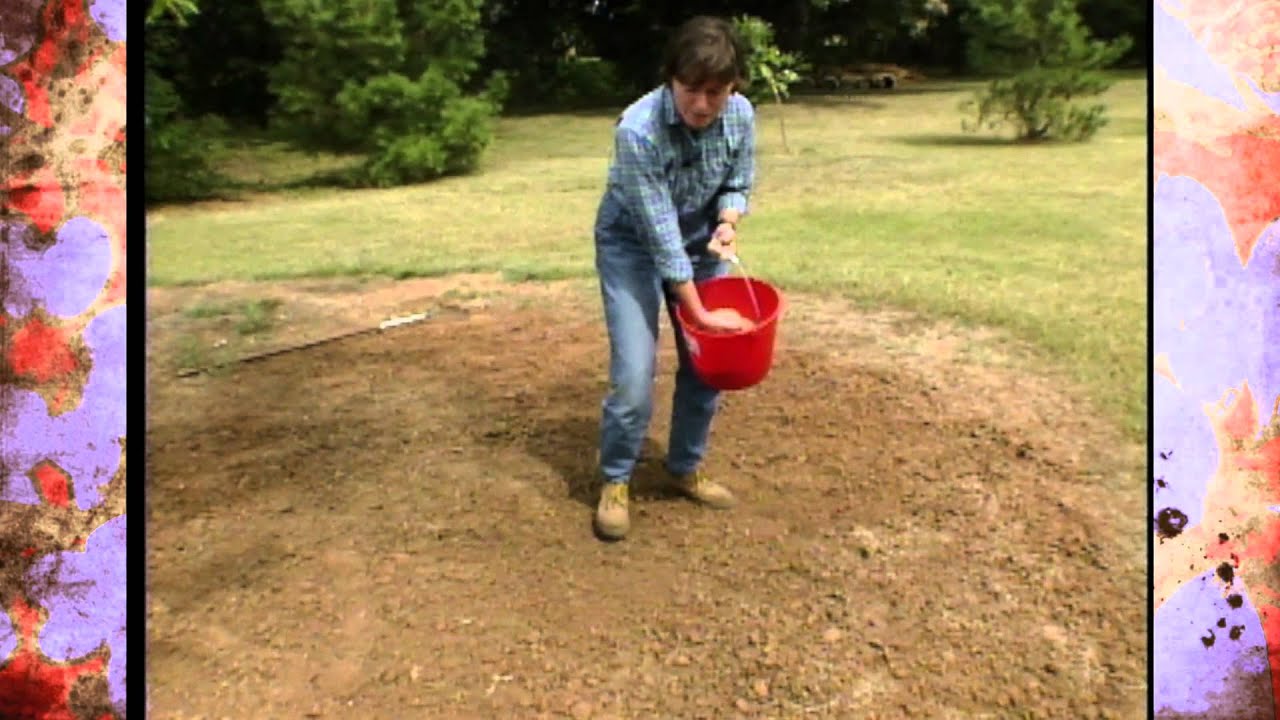 Sowing Wildflowers for Spring Color