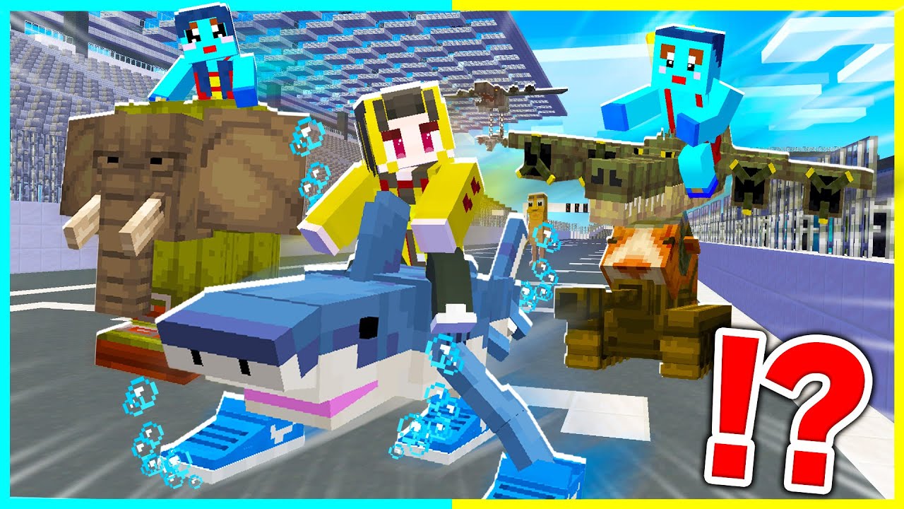 ブレインロットのキャラで最速を決めるレース対決！【まいくら / マインクラフト】