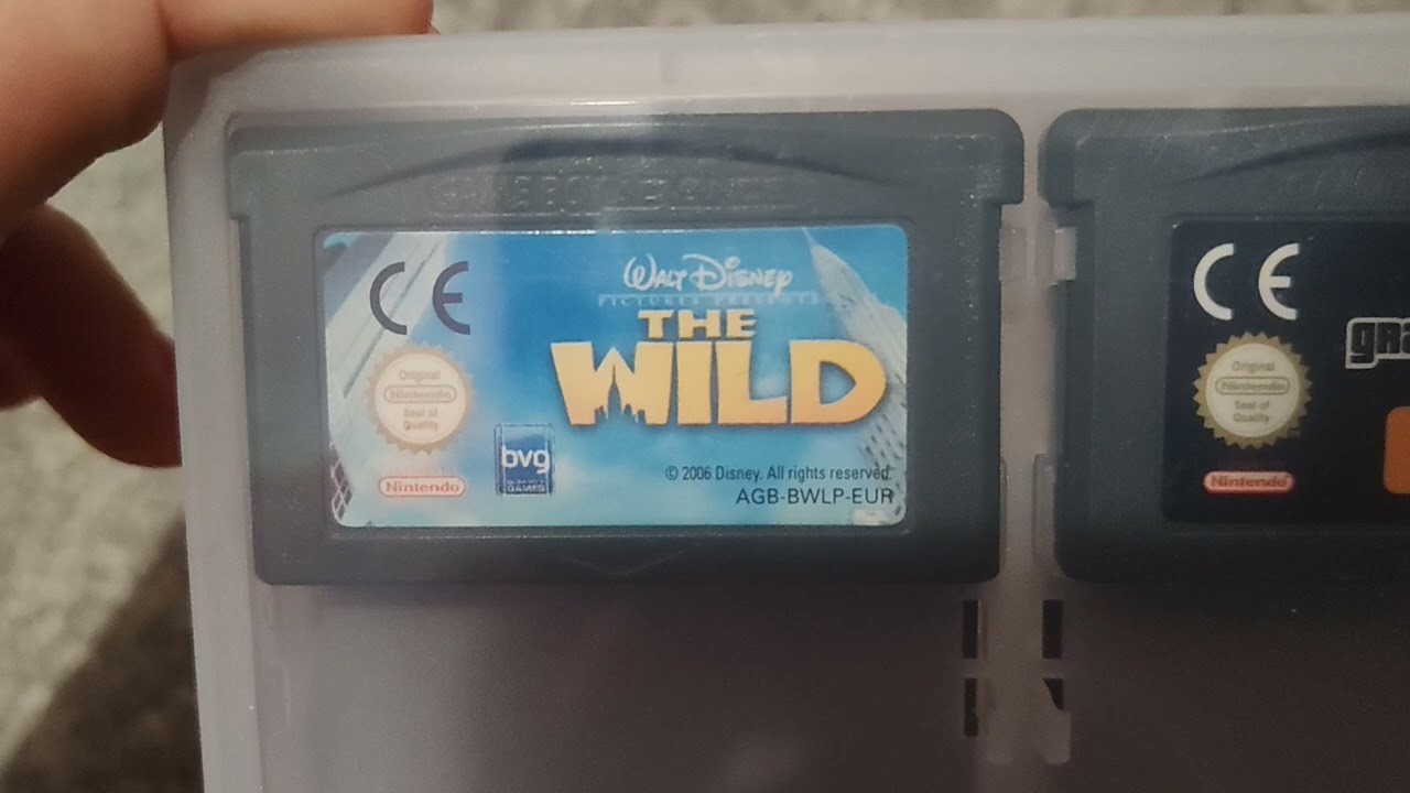 This Is My Gameboy Advance Cartridges Storage
