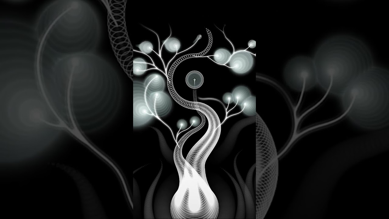 Beginning — A Moment of Flow | Onde 