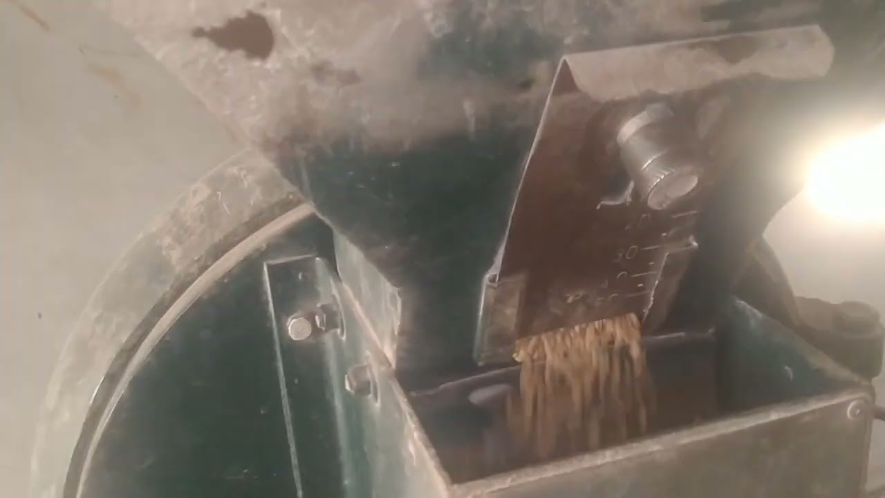Wheat to Flour Process in Traditional Mill | Satisfying ASMR Grinding Video 🌾 #asmr #machineasmr 