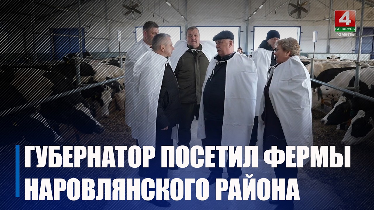 На 20% увеличилось производство молока в Мозырском районе по сравнению с 2025 годом