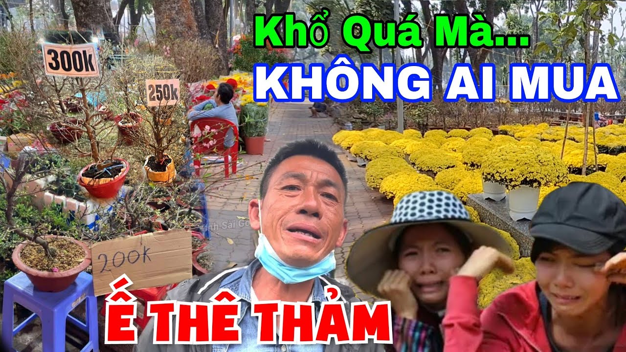 Ế Thê Thảm chợ hoa tết 2025 không ai mua người bán òa khóc bán xổ rẻ tại công viên Gia Định