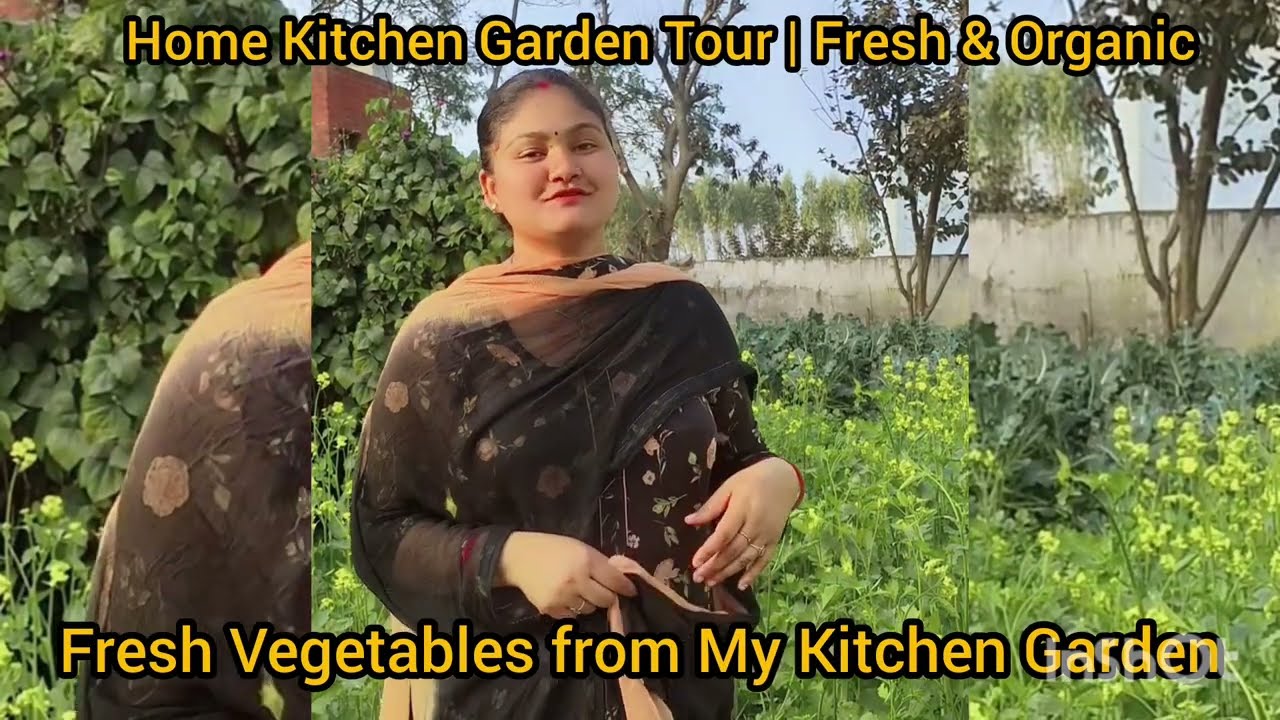 Home Kitchen Garden Tour | Fresh & Organic#kitchengarden #likesharesubscribe #likeforlikes 