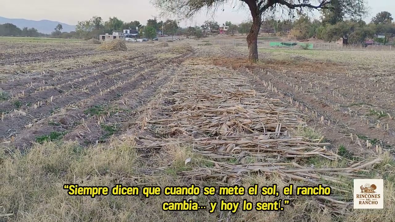 “Siempre dicen que cuando se mete el sol, el rancho cambia… y hoy lo sentí.”