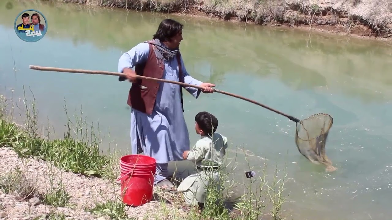 نمایش کجیر فارم ماهی قتل عام کرد