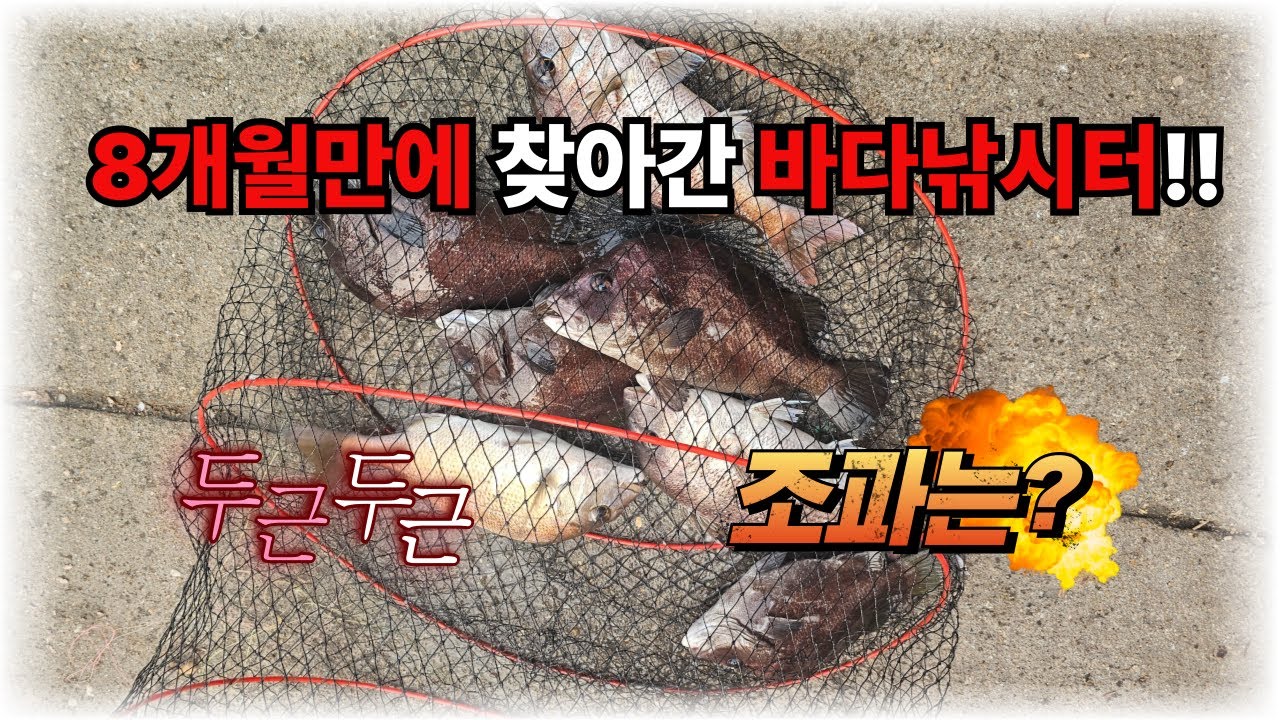 8개월만에 다시찾은 강화도 바다낚시터 이곳은?? #낚시 #바다낚시 #바다낚시터 #fishing #생활낚시