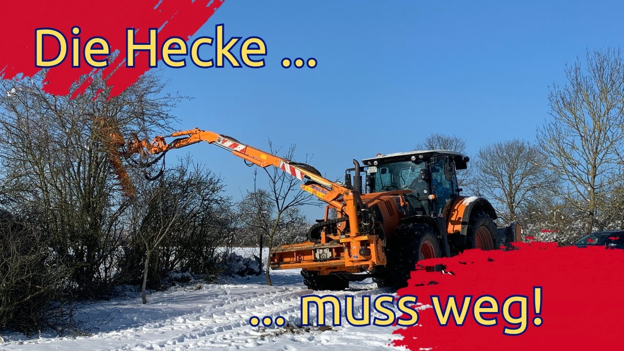 Die Hecke muss weg