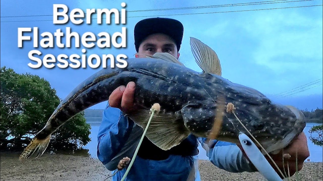 Bermi Flathead Sessions