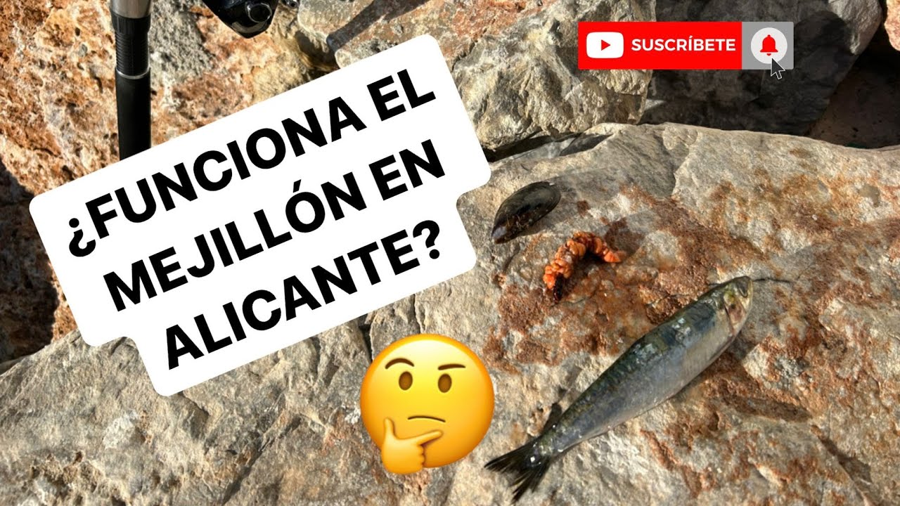 ¿FUNCIONA EL MEJILLÓN COMO CEBO, EN ALICANTE?🎣🦪