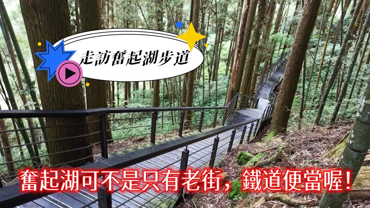 奮起湖步道有哪些？搭乘阿里山小火車走訪奮起湖步道全攻略#奮起步道#杉林木棧道#肖楠母樹林木棧道#木馬棧道
