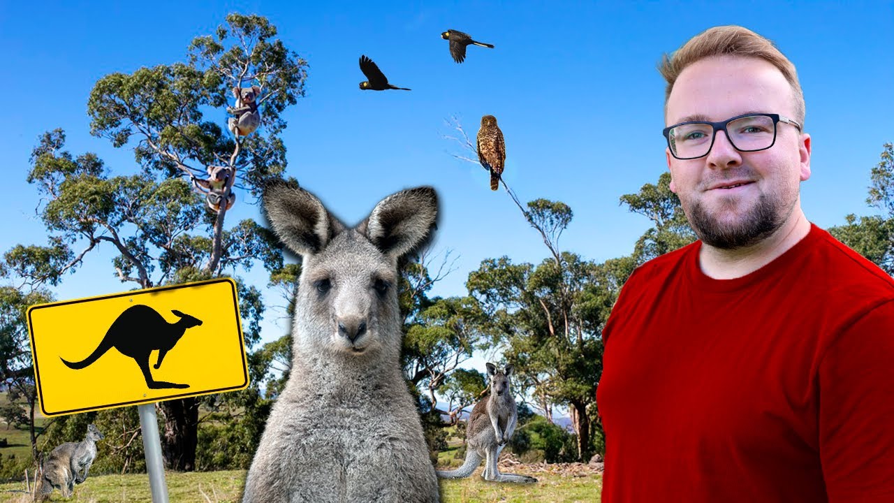 Tracking Down Australia's Endemic Animals