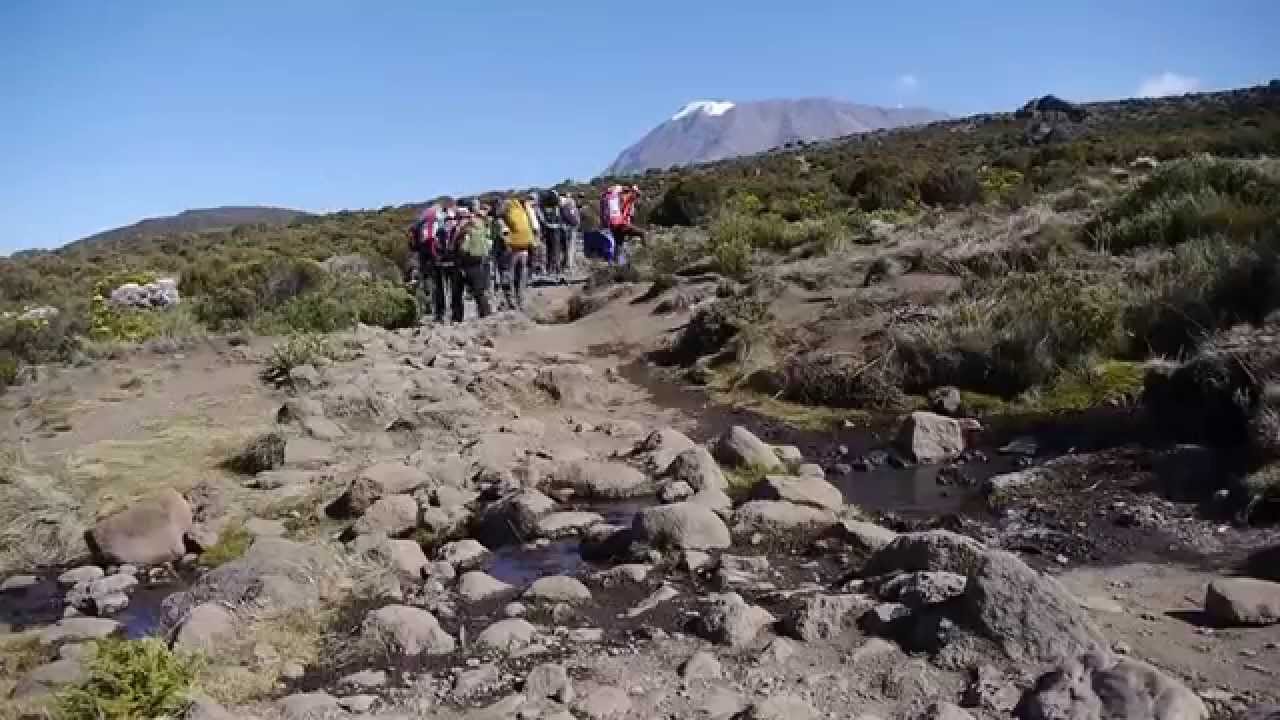 Kilimanjaro - Climbing Juli 2014
