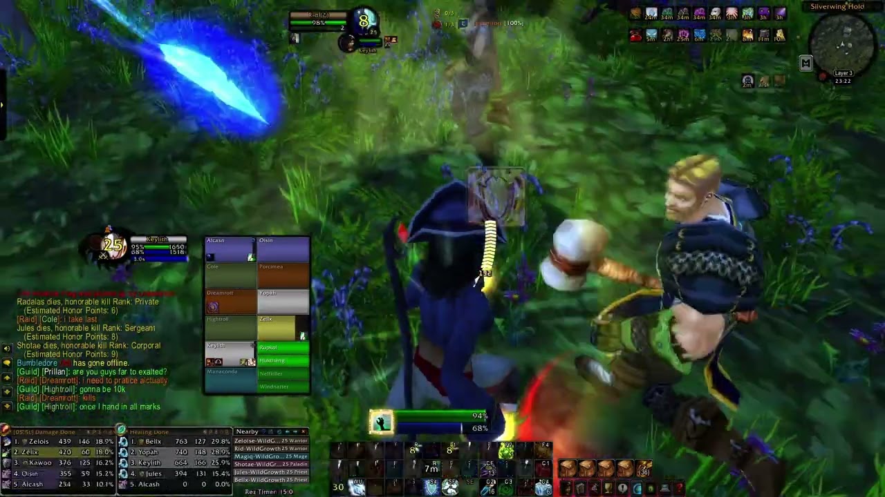 Warsong Gulch BG #9 | Disc Priest PoV | SoD PvP