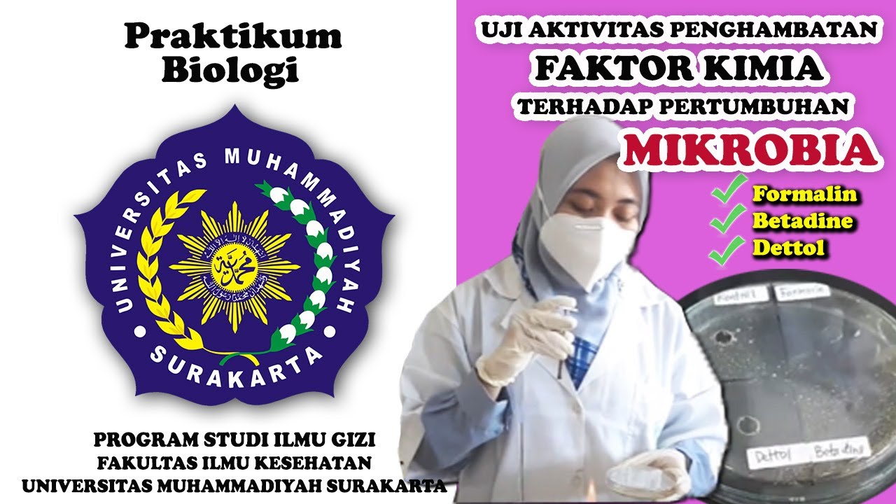 Uji Aktivitas Penghambatan Faktor Kimia Metode Sumuran terhadap Pertumbuhan Mikrobia |Ilmu Gizi UMS