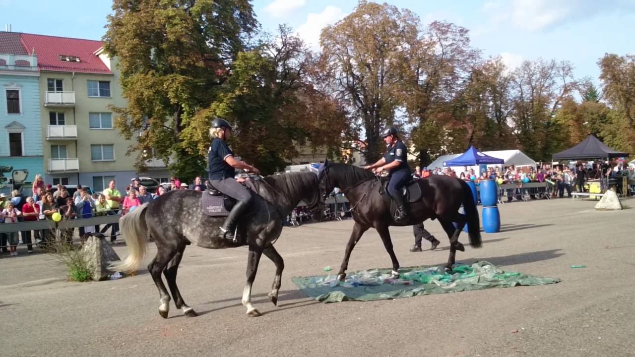 MĚSTSKÁ POLICIE PRAHA - DEN PREVENCE 2016 BENEŠOV