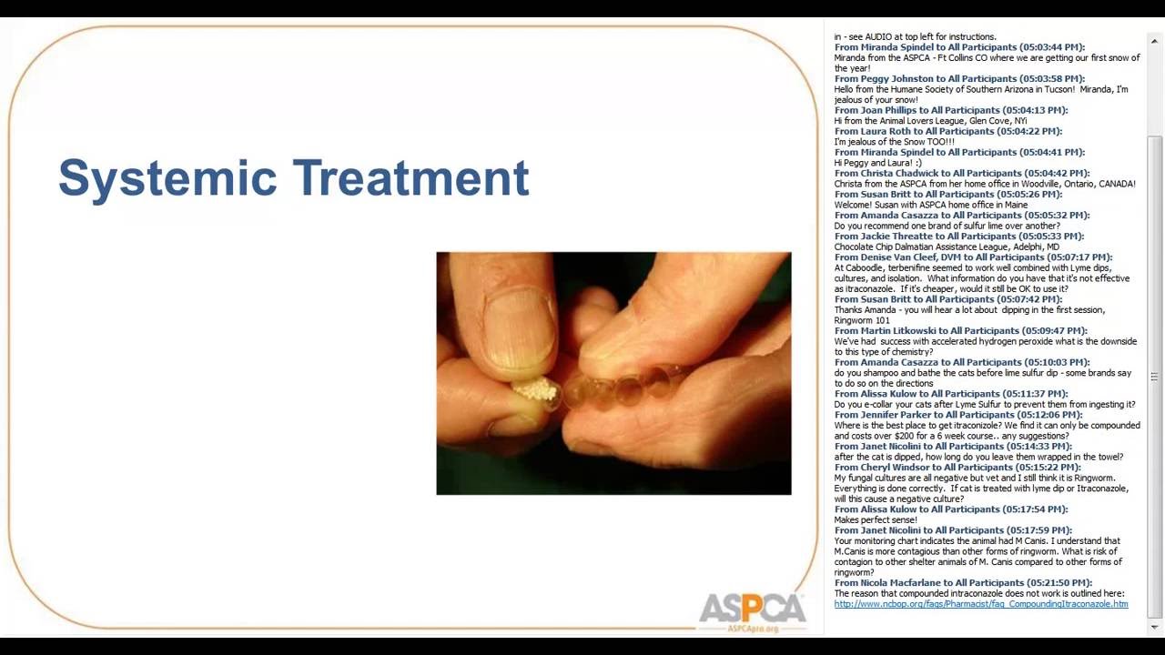 Let’s Talk Fungus! - webcast