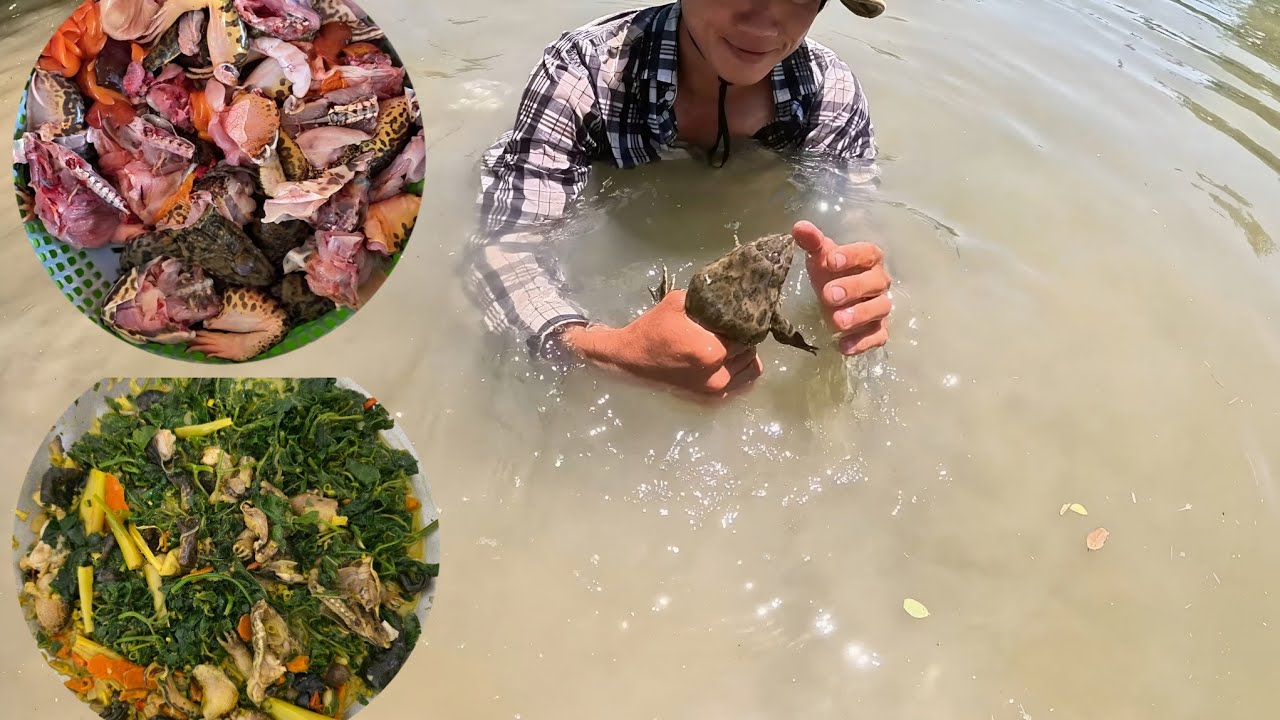 Săn Ếch Đồng Về L&agrave;m M&oacute;n Ếch X&agrave;o Rau Mu&ocirc;i Nước Cốt Dừa || Giang Ca SB# 123