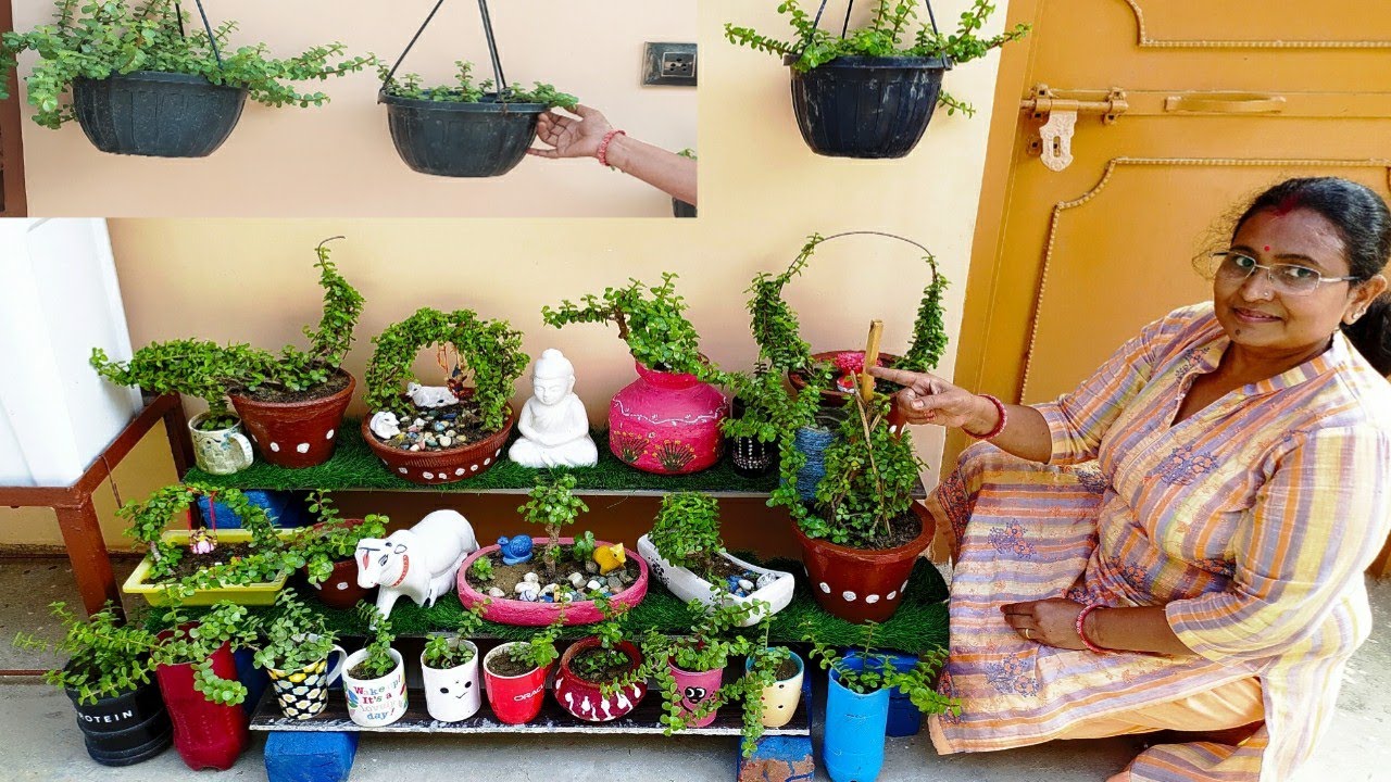 देखिए मैंने फ्री में गमलों का स्टैंड बनाया /पौधों का स्टैंड /Homemade Plant Stand In Free