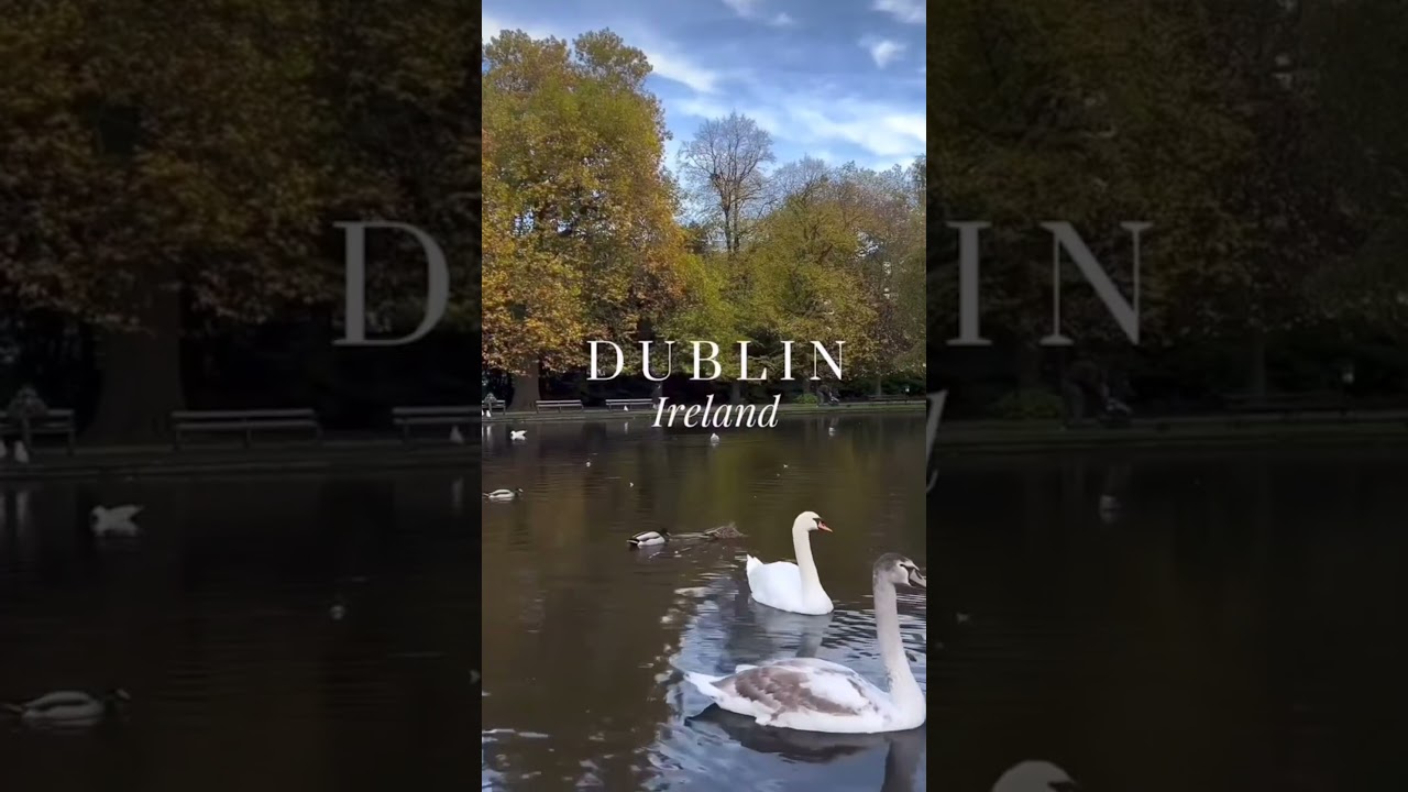 #Dublin #VisitDublin #ExploreDublin #Ireland #HiddenGemsDublin