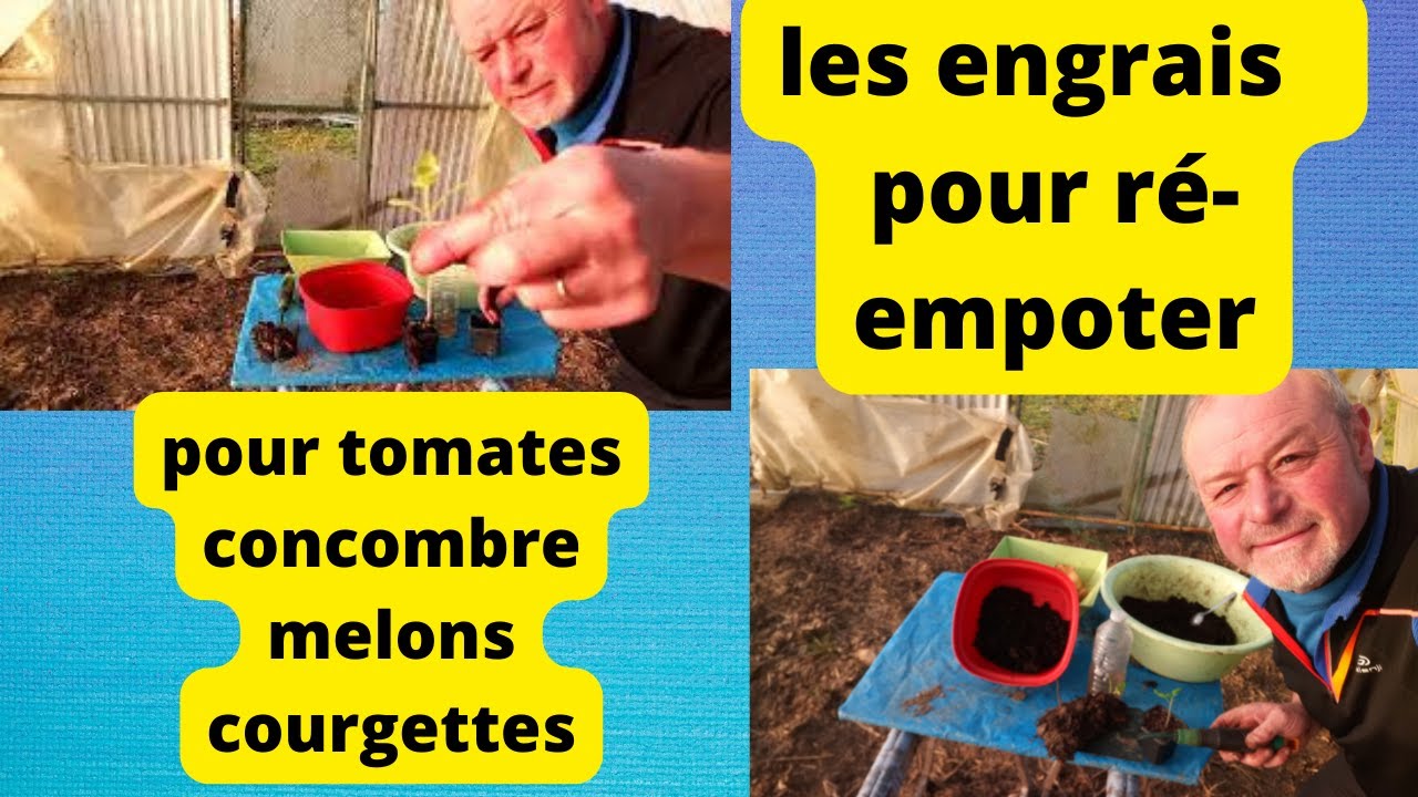 les engrais nourrissant pour les re-empotage