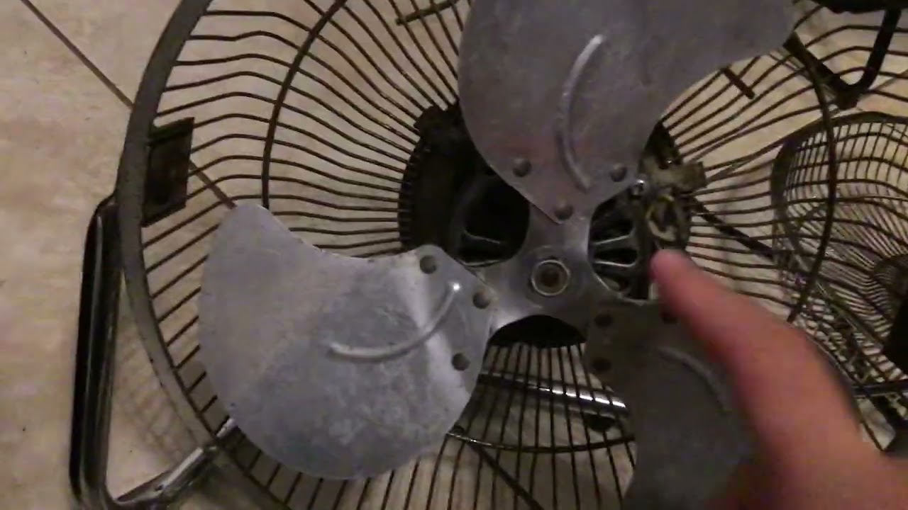 February 6, 2026 Unbranded 8 or 10 inch black floor or wall mounted fan.