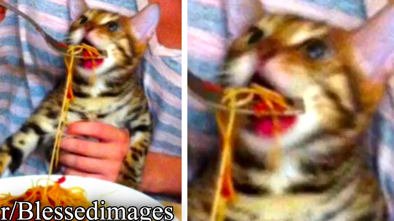 r/Blessedimages | НАКОРМИТЕ ЗВЕРЯ