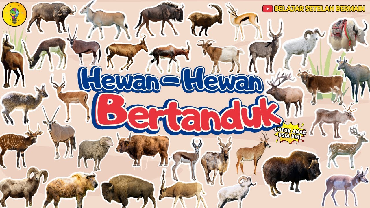Nama - Nama Hewan Bertanduk || Mengenal Nama Nama Hewan Bertanduk untuk Anak Usia Dini
