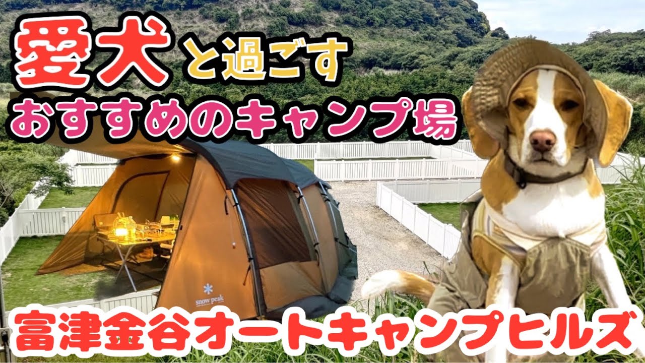 【いさキャン】初めてのキャンプ〜暴風大雨大惨事〜